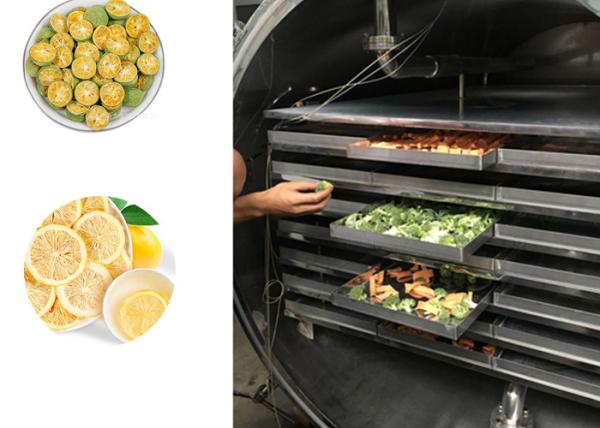 Buy cheap Fruits Vegetables Industrial Freeze Machine 100kg/Batch from wholesalers