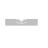 Buy cheap UHF G Inlay AZ 9654 Dry Inlay / Wet Inlay Alien Chip from wholesalers