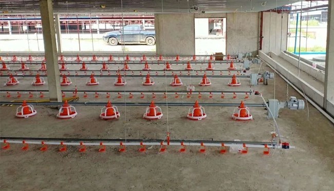 90 Degree Chain Automatic Pan Feeding System