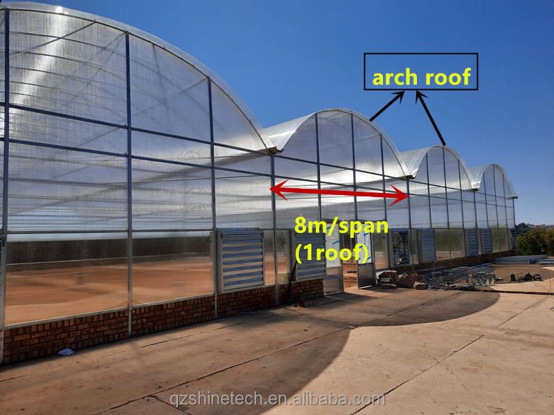4m Bay Width Polycarbonate Greenhouse Installation Drawing and Galvanized Steel Frame