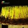 Buy cheap High Durability Fiberglass Animatronic Dendriform Illuminated from wholesalers