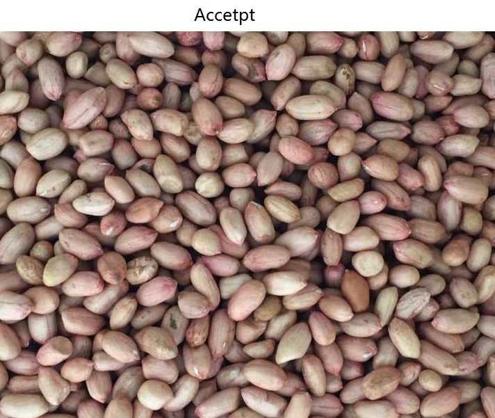 High Definition Industrial Lens peanut sorting machine