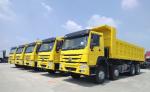 Drive Wheel 8×4 HOWO 6X4 Haulage Truck with Used Parts and 60 Cubic Capacity