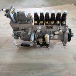 High Pressure Fuel Injection Pumps CP61Z P61Z651 B For Shangchai Engine Repair