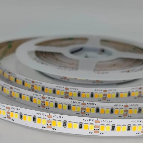 LED Multicolor Light Strip With High CRI, Low Flicker & Long Lifetime IP65