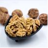 Buy cheap Walnut wholesale kernel walnut Factory price Food supplements walnuts peptide from wholesalers