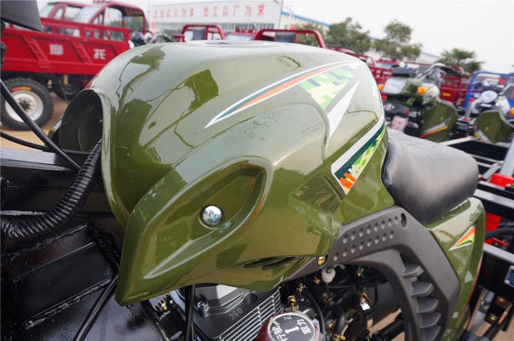 Adult 250cc Cargo Tricycle