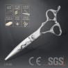 Buy cheap 6.0" Japanese Steel Scissors , High Precision Special Hairdressing Scissors from wholesalers