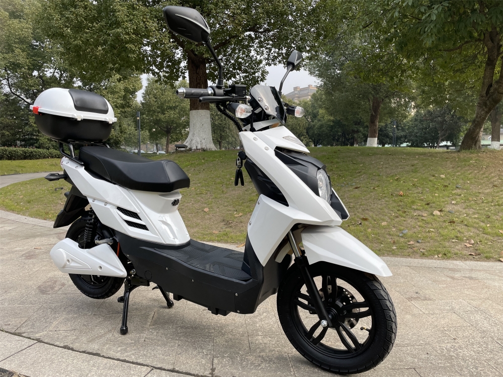 48V 800W Pedal Assisted Electric Scooter With LCD Display 20Ah Lead Acid Battery
