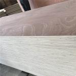 Package E1 Glue 1220x2440mm Sapele Faced Plywood