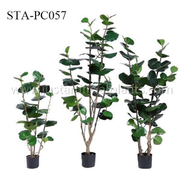 Buy cheap Real Touch Artificial Decorative Trees Artificial House Plant 4 Feet 5 Feet 6 Feet Wide Leaf from wholesalers