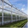 Buy cheap Metal Frame Polytunnel Glass Venlo Type Greenhouse Stabilized 60x90m from wholesalers