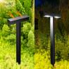 Buy cheap Outdoor Solar Garden Lights Solar Powered Outdoor Lights Warm White Solar Garden Lights from wholesalers