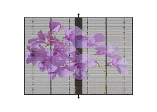 AC100-240V 60Hz Input Transparent LED Display Screen for Indoor Advertising