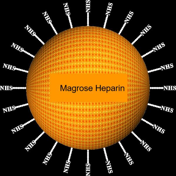 Agarose Heparin Protein Purification Magbeads 30-150 μm, 10% Volume Ratio, 1000