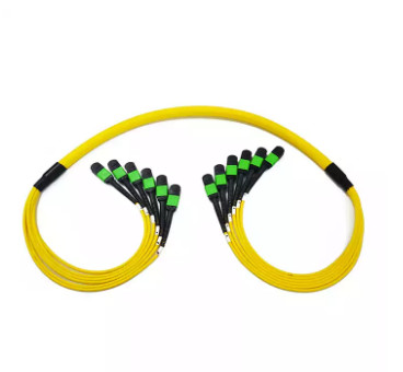 12 / 24 Fiber Singlemode Optical Fiber Jumper MTP/MPO Fiber Patch Cable