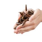 Foreign Matters Absent Buyers Try Our 100% Pure Natural Toasted Sunflower Nuts