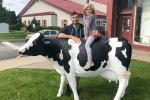 Outdoor Decoration Animatronic Animals , Electric Life Size Cow