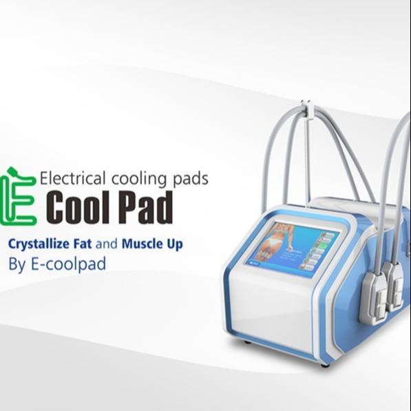 Buy cheap 110V 60Hz Portable Fat Freezing Machine , Electrical Muscle Stimulation Equipment from wholesalers