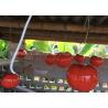 Buy cheap Artificial Fruit Window Display Decorations Custom Oversize Red Fiberglass Cherry Statues from wholesalers