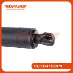 Car Electric Liftgate Actuator 51247365979 Rear Electric Strut For BMW F48