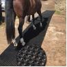 Buy cheap Anti Fatigue Drainage Mat Anti Slip Rubber Mats Rubber Hollow Mats 3' X 3' Inch Black Color For Horse Grooming Area from wholesalers