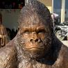 Buy cheap Bronze Life Size Gorilla Statue Sculpture Metal Brass Large Outdoor Sculptures Classic Designs Garden Decorative from wholesalers