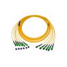 Buy cheap MPO MTP Trunk Cable APC Polish Single Mode 9 / 125 LSZH Optical Cable from wholesalers