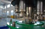 SUS304 3 In 1 500ml PET Carbonated Drink Filling Machine