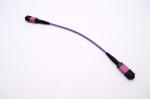 Buy cheap MTP MPO cable , MTP MPO Patch Cable 12 fiber OM3 OM4 50/125um Plenum Rated 40G from wholesalers