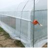 Buy cheap Agricultural Plastic Film Greenhouse Simple Structure Easily installed from wholesalers