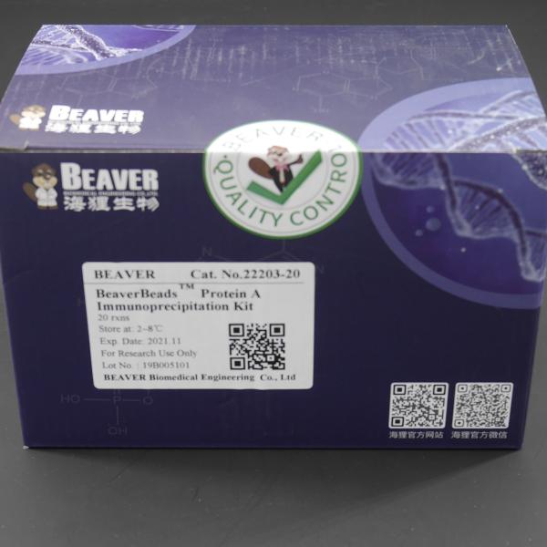 Buy cheap 10 mg / mL Protein A/G Magnetic Beads For Immunoprecipitation 20 Reactions from wholesalers