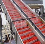Buy cheap Turnkey Project Tomato Paste/Sauce Production Line from wholesalers