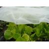 Buy cheap Plastic Fiberglass Wire Mesh 20 X2 0mm Size For Air Flow Insect Protection from wholesalers