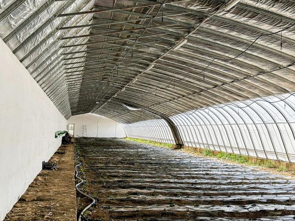 Buy cheap Customized Temperature Control Solar Passive Greenhouse with High Insulation from wholesalers