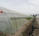 Anti-Drip Fogging Film Greenhouse for Flowers Temporary Heating Method Included