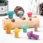 Kids Wooden Mushroom Picking Toys Rainbow Blocks DIY 3D