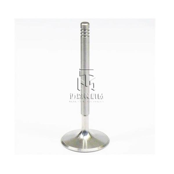 Buy cheap Intake Valve 04250137 04254232 04283378 4250137 4254232 4283378 0425 0137 0425 4232 0428 3378 for deutz TCD2013 from wholesalers