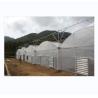 Buy cheap 150/200 Micro Covering PE Multi Span Film Greenhouse For Tomato Farming In Agriculture from wholesalers
