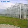 Buy cheap Steepletop Good Looking Appearance Greenhouse Venlo Type Greenhouse For Flowers from wholesalers
