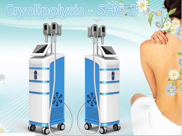 Buy cheap SHC-2 cryo best fat removal Cryo vaccum & cavitation machine from wholesalers