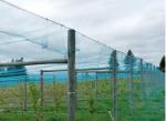 PE Woven Anti Bird Net , Bird Proof Netting 100% New HDPE Material