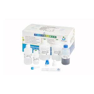 Buy cheap 40T/Kit Sperm DNA Fragmentation Kit product