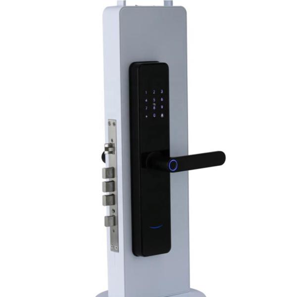 Buy cheap Chinese Smart Door Lock Electric With Touch Screen 2 Years Warranty from wholesalers