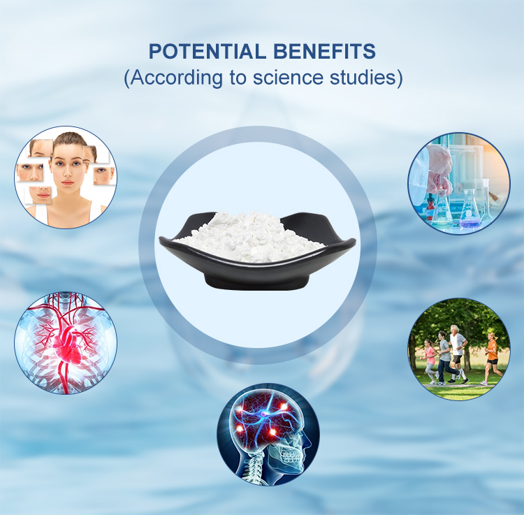 CAS 537-42-8 99% Pterostilbene Powder For Health Supplements EINECS 611-041-4