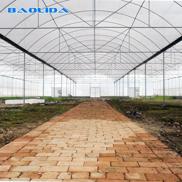 Buy cheap Tomato Poly Natural Plastic Film Greenhouse / Polyethylene Foil Greenhouse from wholesalers