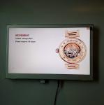 Low cost 15 inch frameless LCD video screen for shelves/display racks