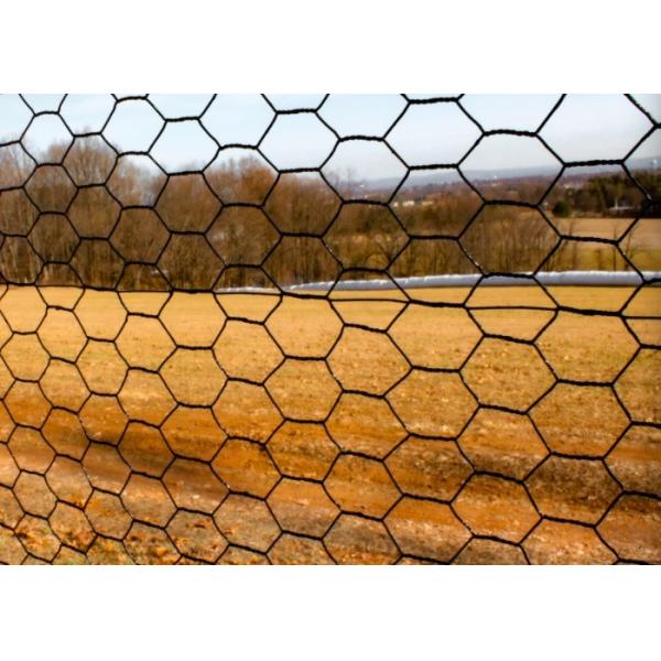 Buy cheap 8 ft X 100 ft Hexagonal Wire Mesh Galvanized 1 inch Black PVC Wire Fence 20 Gauge from wholesalers