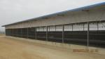 Low price and simple flat pack container house for living and warehouse