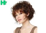 Curly None Lace Brown Colored Short Synthetic Wigs 130% Density